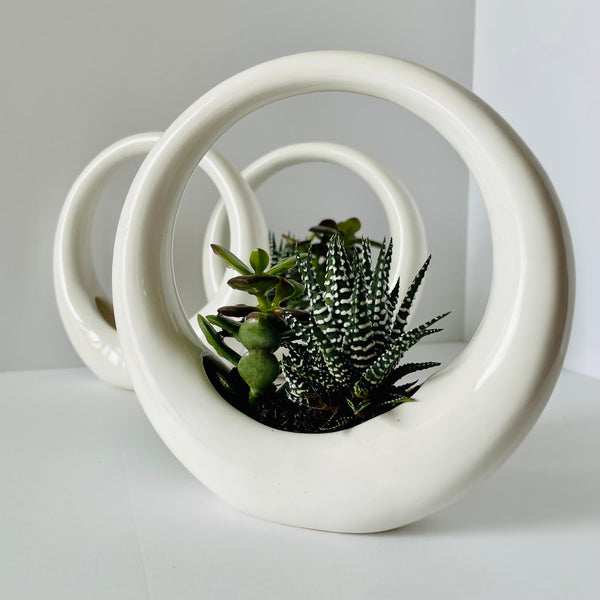 ring planter vase